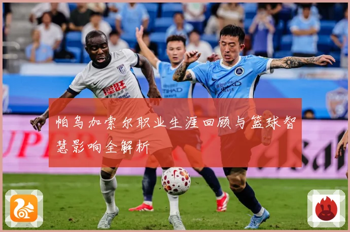 帕乌加索尔职业生涯回顾与篮球智慧影响全解析