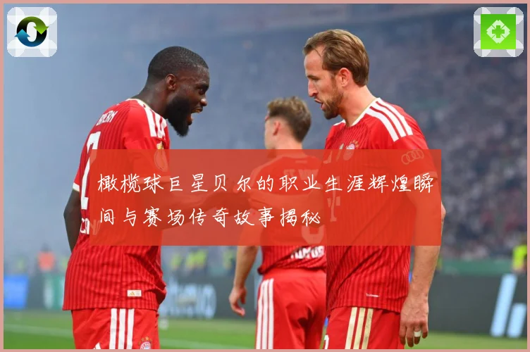 橄榄球巨星贝尔的职业生涯辉煌瞬间与赛场传奇故事揭秘