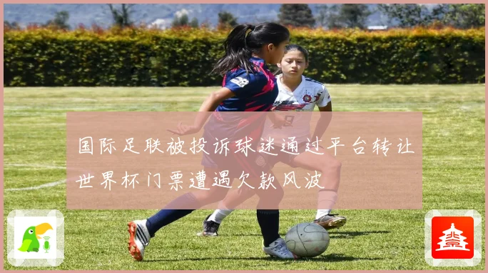 国际足联被投诉球迷通过平台转让世界杯门票遭遇欠款风波