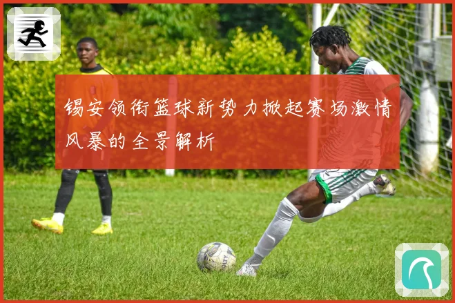 锡安领衔篮球新势力掀起赛场激情风暴的全景解析